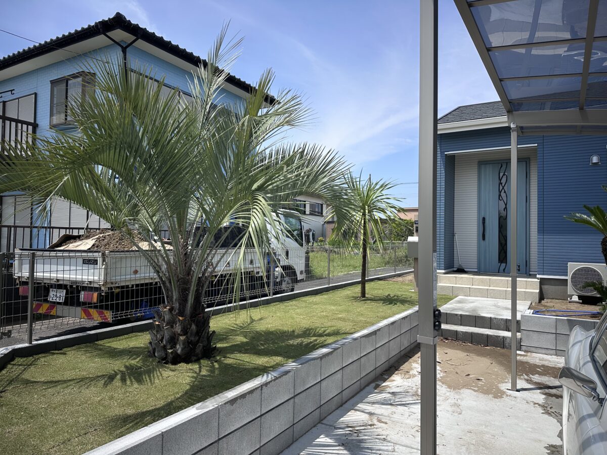 九十九里町にココスヤシ、ソテツ、ドラセナ植栽🌴 - アツタガーデン
