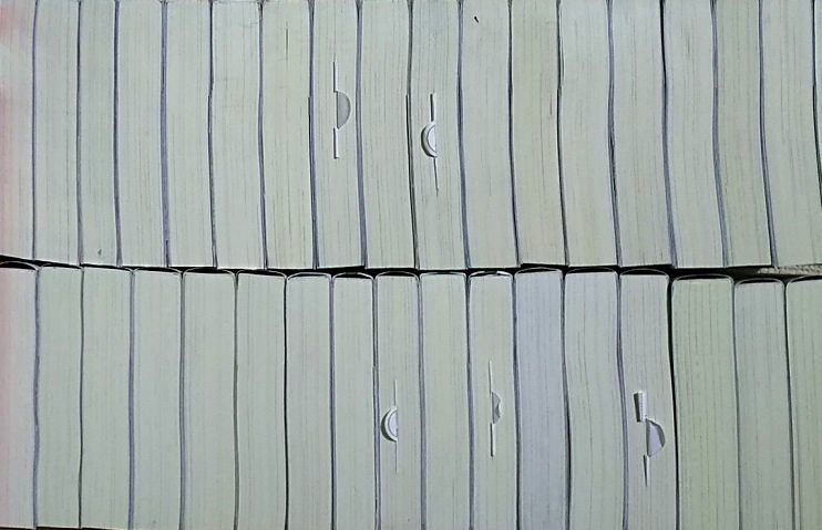 本好きの下剋上 小説 全巻セット 合計35冊 第一部～第五部＋外伝＋短
