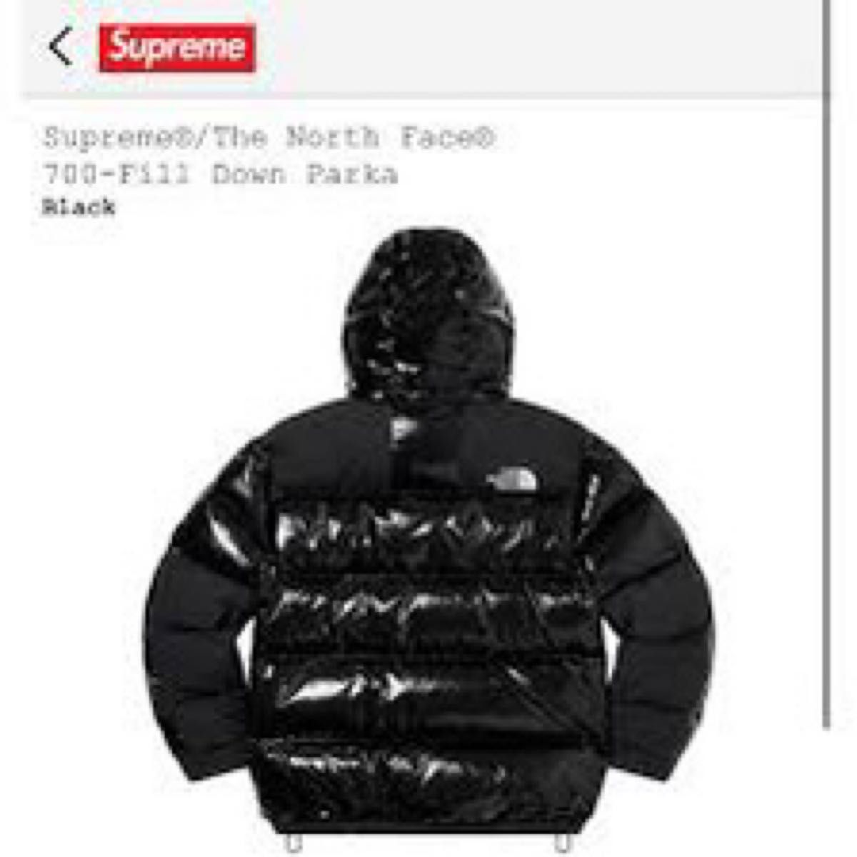 Supreme The North Face 700-Fill Down Parka Black シュプリーム