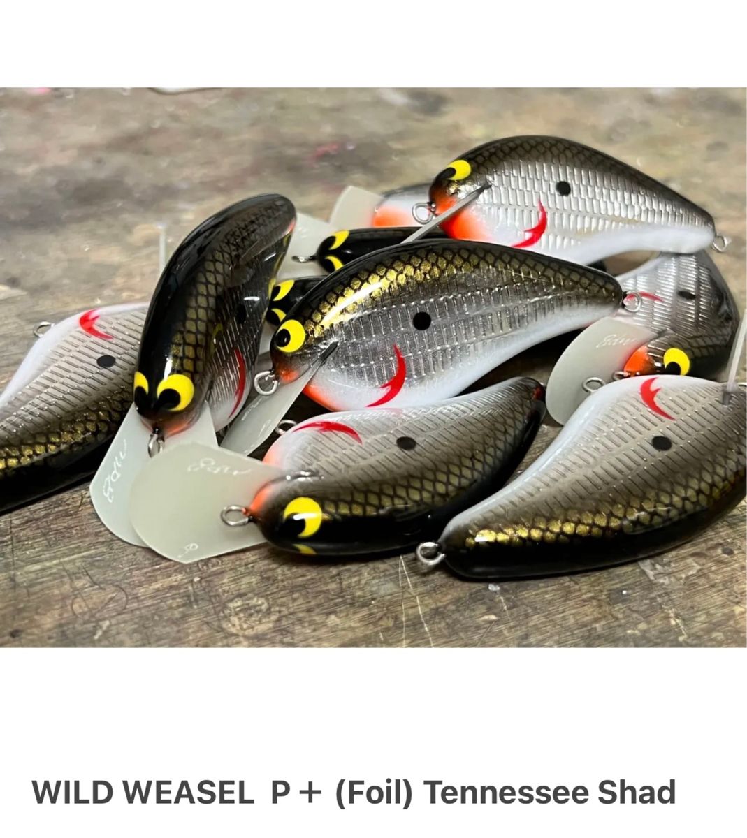 MPBluers MPB WILD WEASEL ワイルドウィーゼル WILD WEASEL -ワイルド