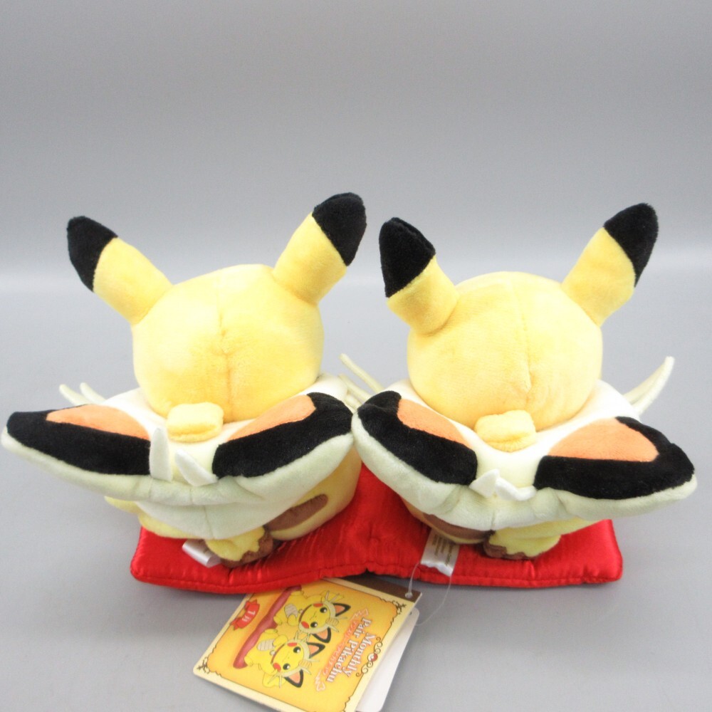 マンスリーピカチュウ2017 1月 .: ポケモンセンター