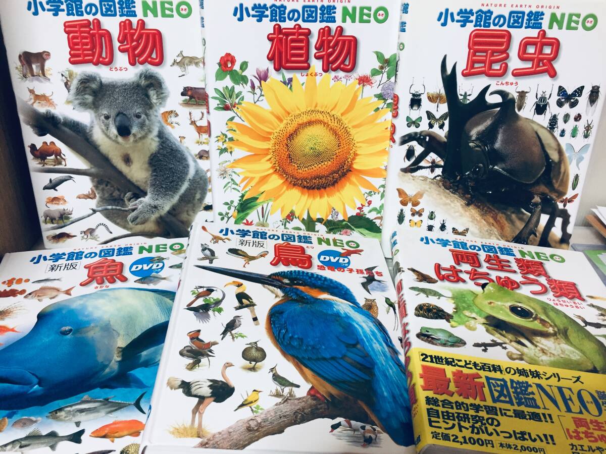 小学館 図鑑 NEOシリーズ 合計19冊セット 付録完備 小学館 図鑑 NEO
