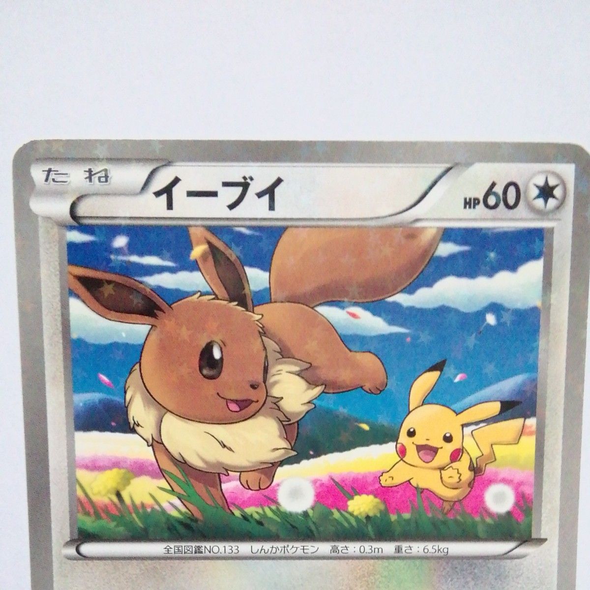 ポケモンカード⭐︎セブンイレブン限定⭐︎スペシャルキラカード