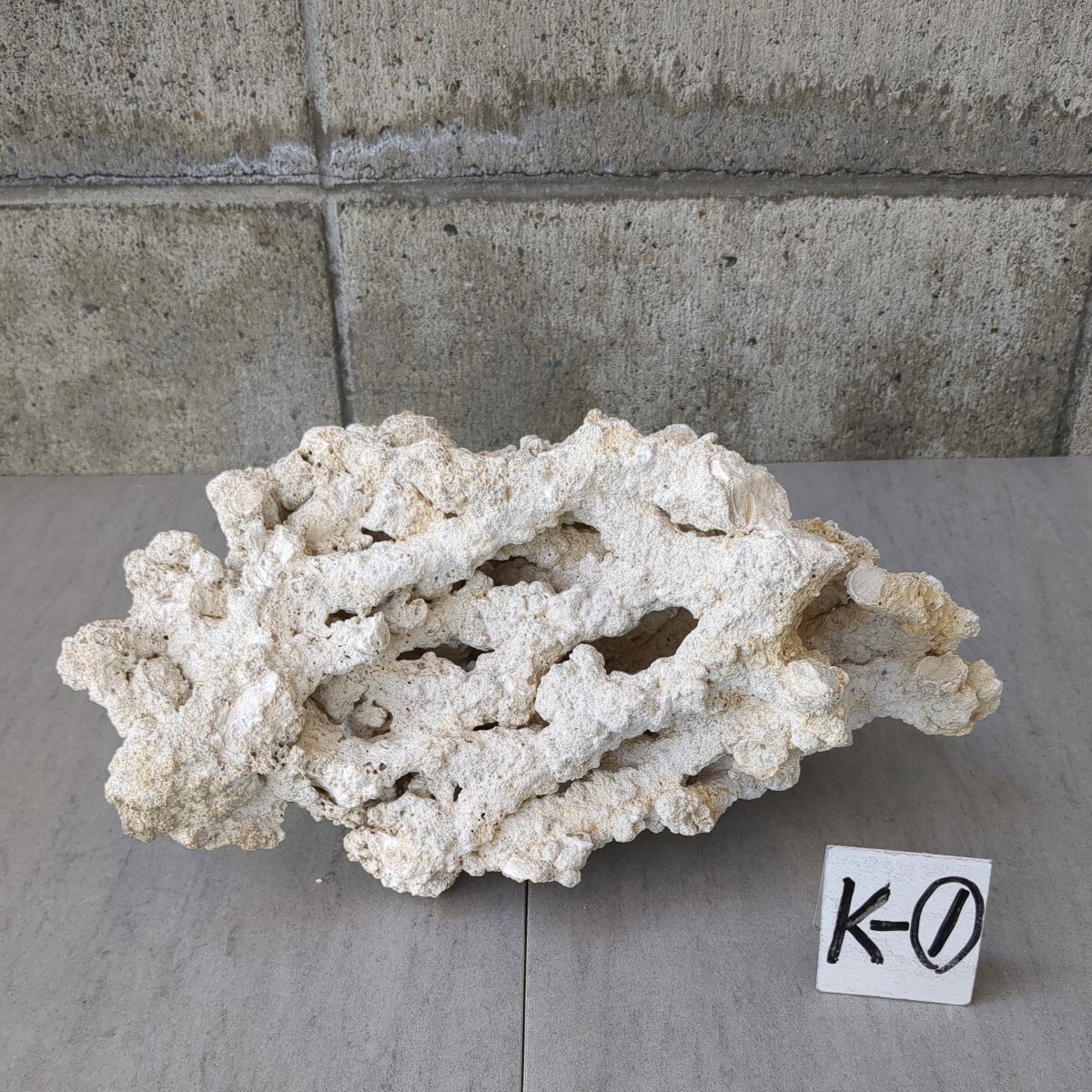化石サンゴ (32cm×21cm×14cm) 3 25㎏ K‐① 珊瑚 枝珊瑚 インテリア