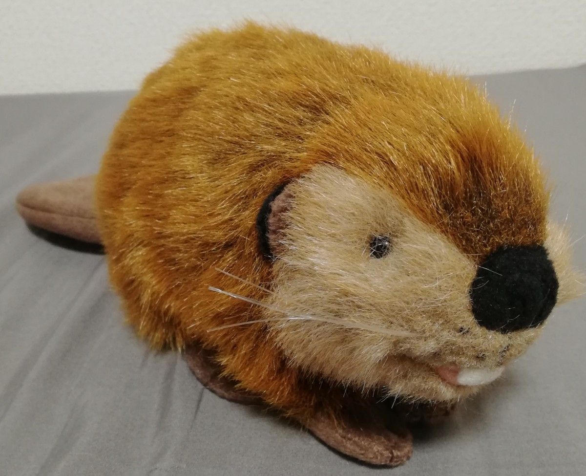 SUPER BEAVER スーパービーバーちゃん ぬいぐるみ 公式グッズ 吉徳