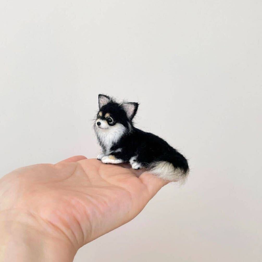 羊毛フェルト リラックスチワワちゃん 6 羊毛フェルト リラックス