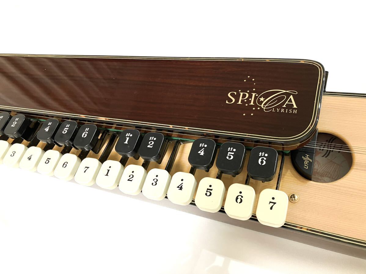 ライリッシュ 大正琴 LPS50 和楽器 専用ソフトケース付き ライリッシュ