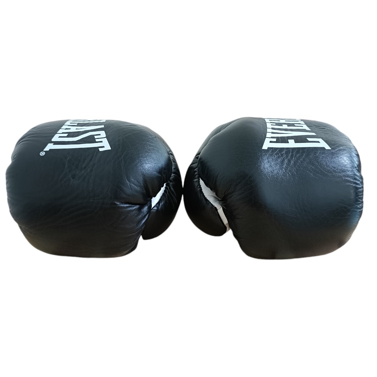 美品】EVERLAST Elite Pro Fight エバーラスト エリート プロファイト