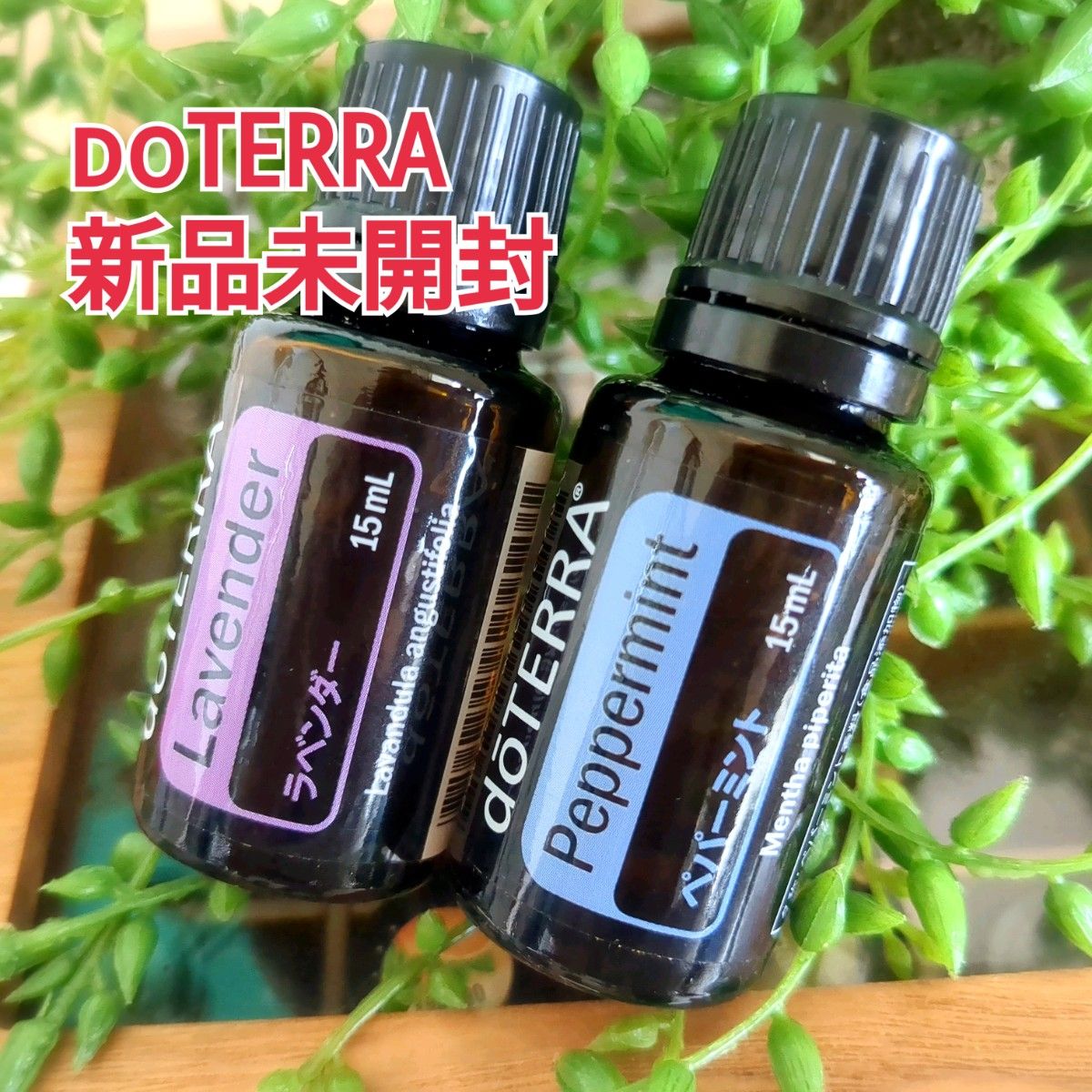 ドテラ doTERRA ラベンダー&ゼラニウム15ml 新品未開封 【公式通販】