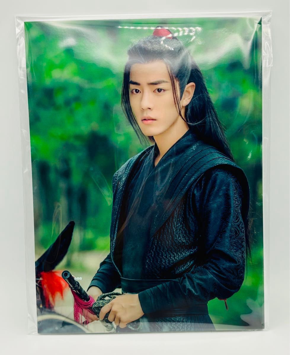 陳情令 肖戦 魏無羡役 裏エピソード写真集MEMORY PRECIOUS 陳情令 肖戦