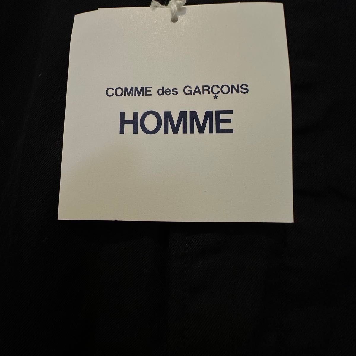 COMME des GARCONS HOMME 25aw 製品染め エステルツイル バルカラー