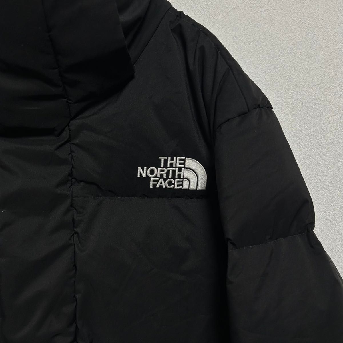 日本未入荷 海外限定モデル THE NORTH FACE ノースフェイス ダウン