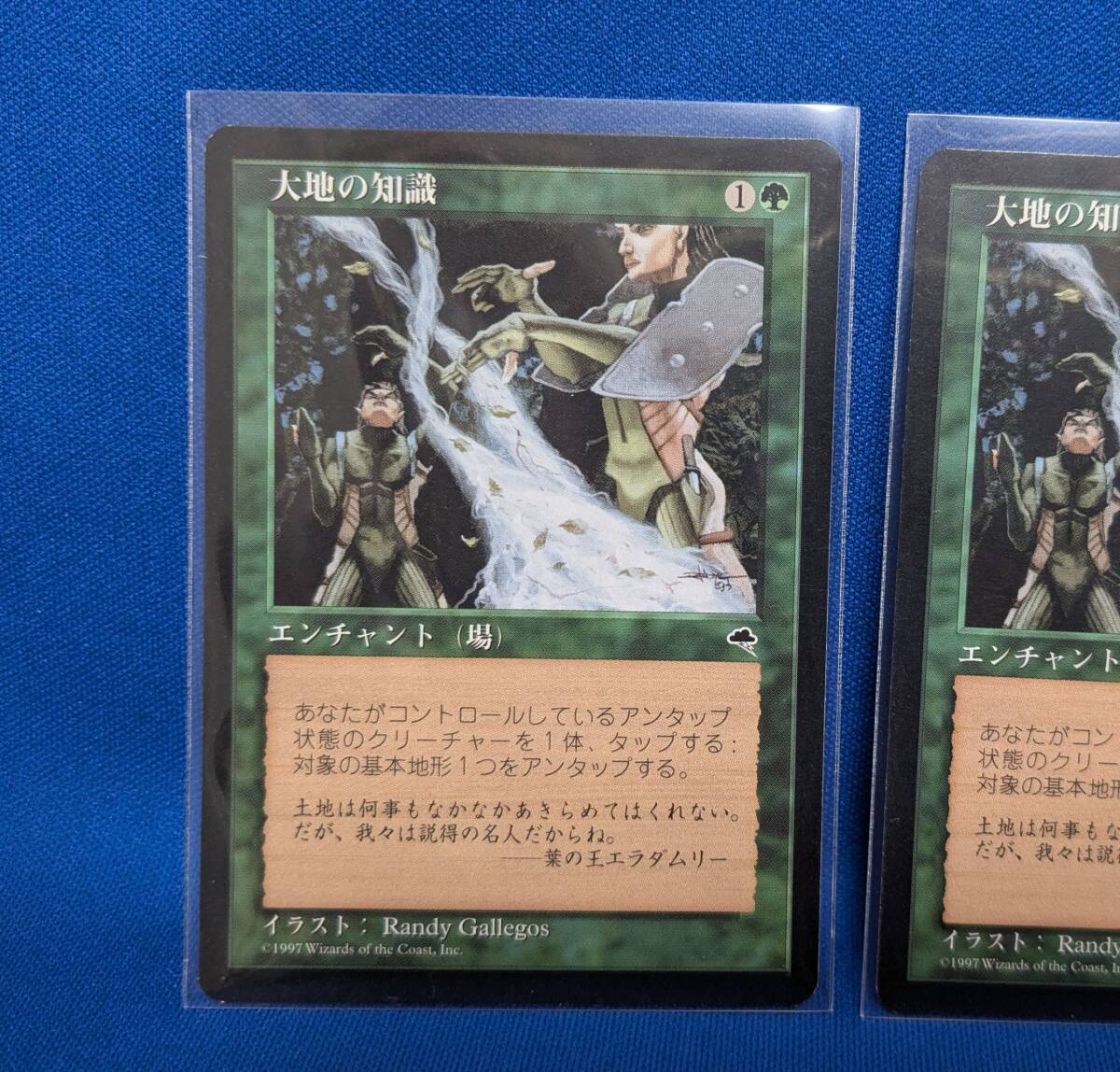 MtG 大地の知識⁄Earthcraft [テンペスト⁄Tempest] 日本語版 3枚セット MTG