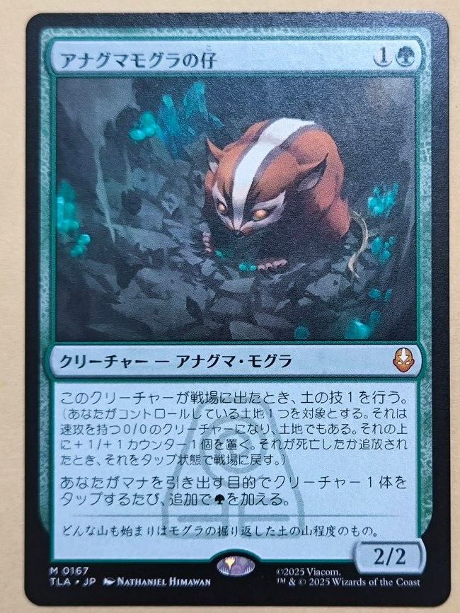 Mtg アナグマモグラの仔 英語 foil アナグマモグラの仔/Badgermole Cub