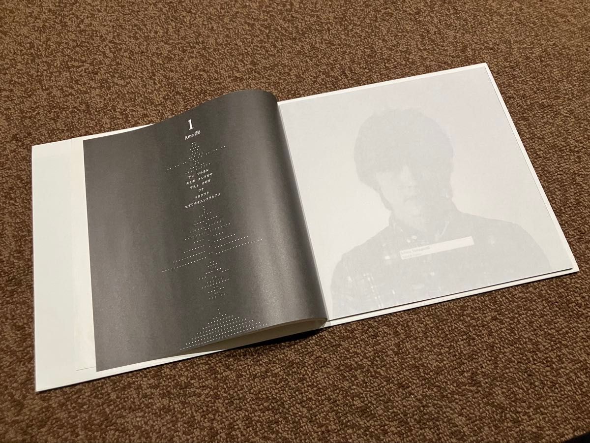 レア 美品 サカナクション オリジナル盤 レコード シンシロ アナログ盤
