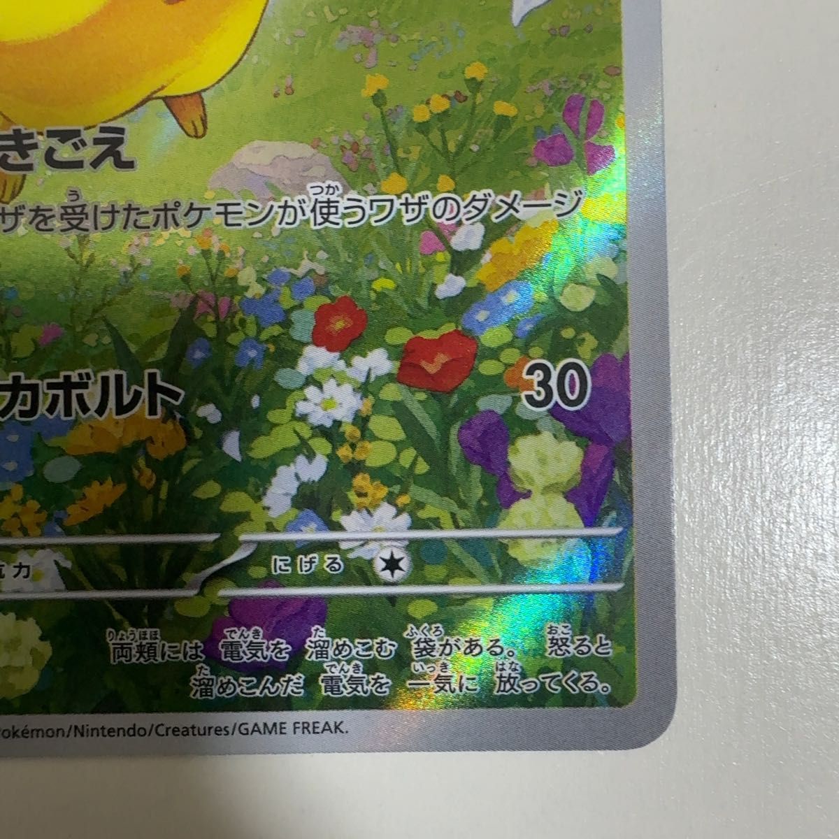 ピカチュウ ポケカの夏がキタ PROMO 218/SV-P ポケモンカード ポケカ