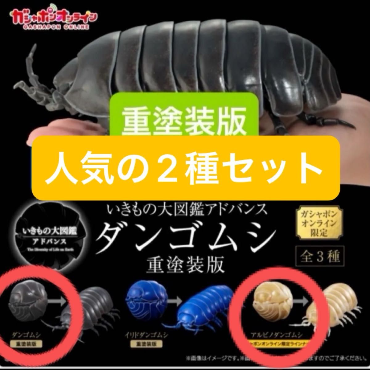いきもの大図鑑 いきもの大図鑑アドバンス ガシャポン ダンゴムシ