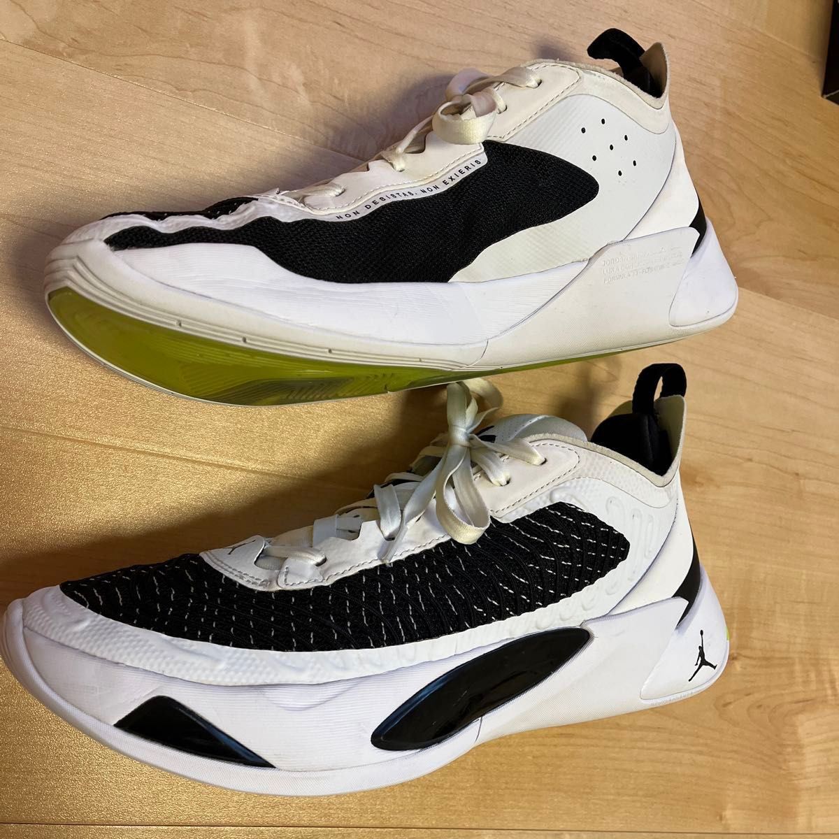 シューズ(男性用) NIKE JORDAN LUKA 1 PF 