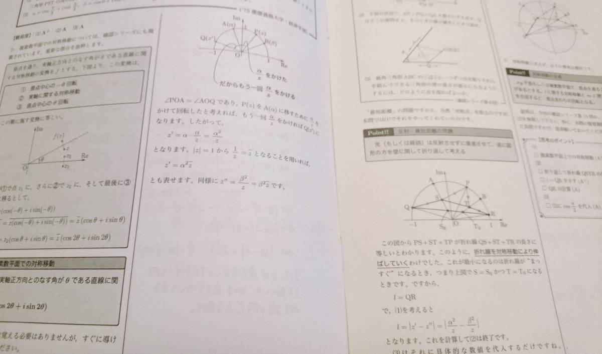 高3入試数学演習（理系） 鈴木 松山 解説冊子 鉄緑会 18年 難関大 東進