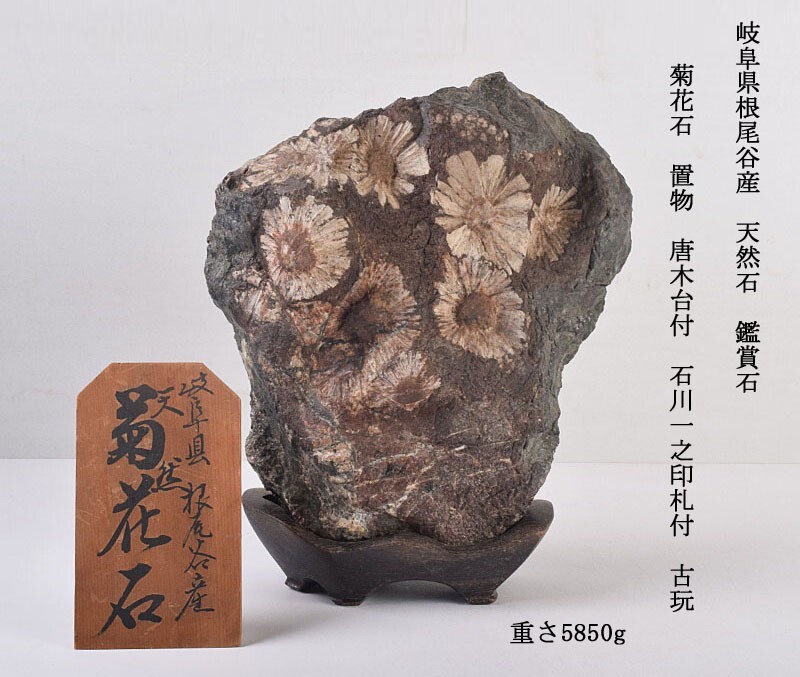 ショップ 天然石 鑑賞石 菊花石 置物 重さ約1127g 唐木台付 C R7298
