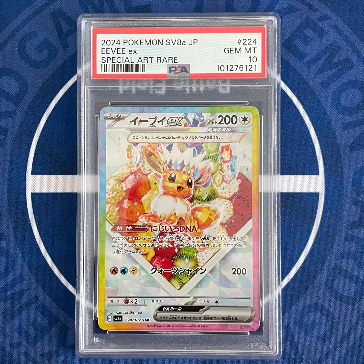 PSA10 10連番 】ポケモンカード テラスタルフェス ブイズex SAR テラス