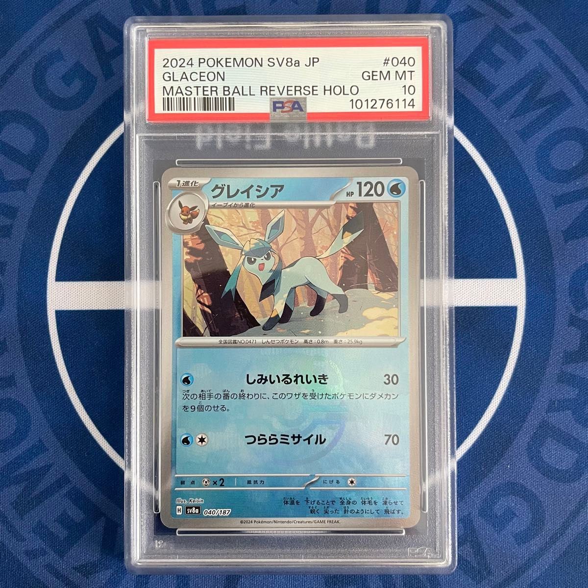 テラスタルフェスex ブイズ マスボ フルコンプリート PSA10 ポケモン