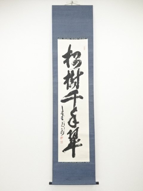 美品 掛け軸 立花大亀作「松樹千年」大徳寺 共箱 禅語 茶掛け 縁起物