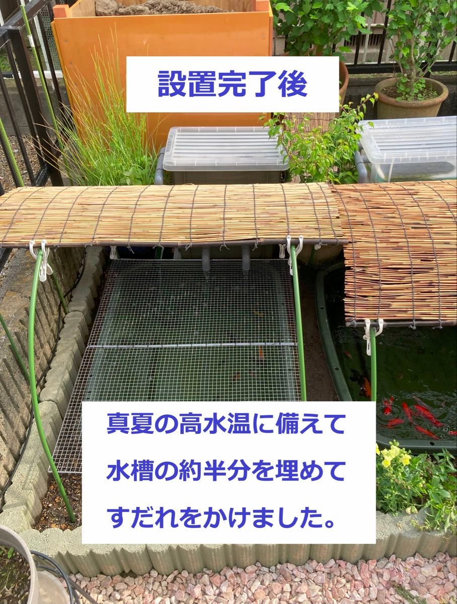 DIY】三段式外部ろ過装置（個人製作濾過装置）【メダカ・金魚・錦鯉の