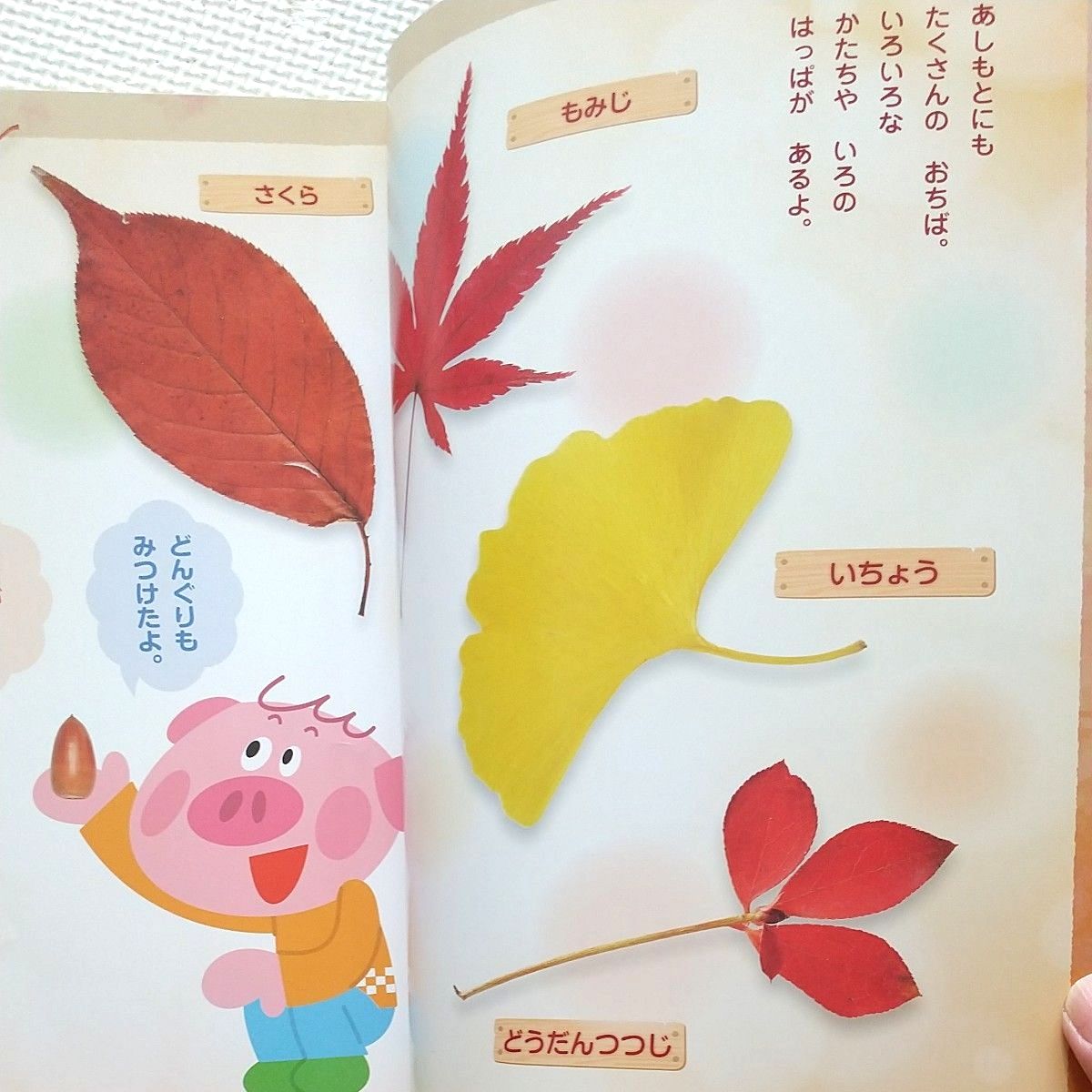 まとめ割 【計7冊】キンダーブック1 みんなともだち 9〜11月号