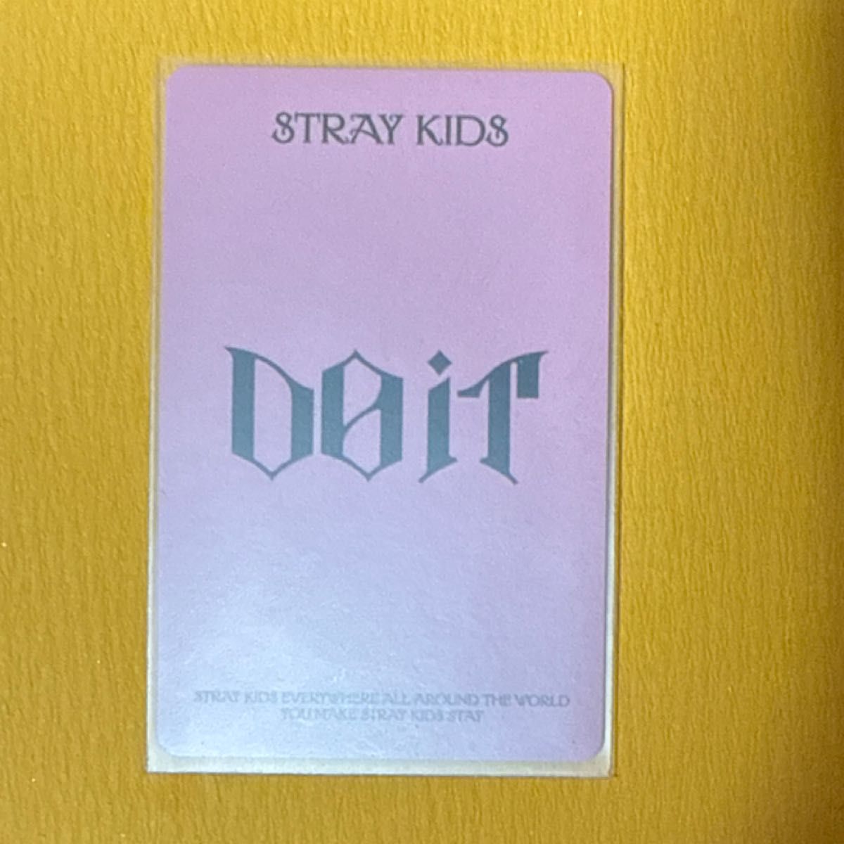 StrayKids トレカ スキズ スンミン フーディー パーカー DOIT Do It