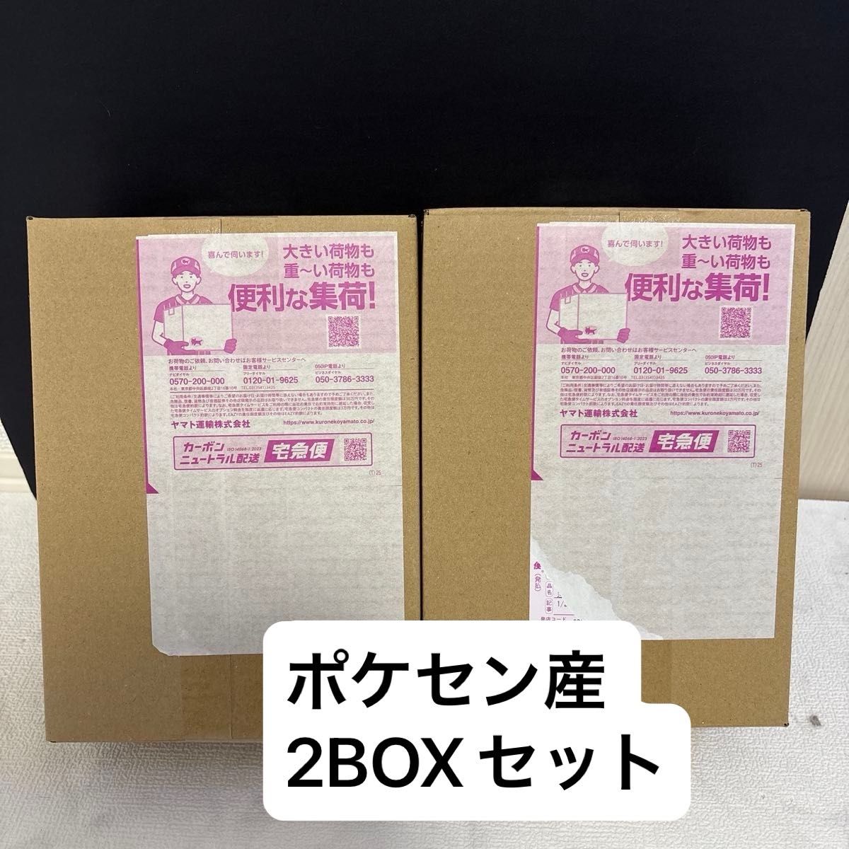 新品未開封 ポケモンカードゲーム MEGA ムニキスゼロ 2BOX シュリンク