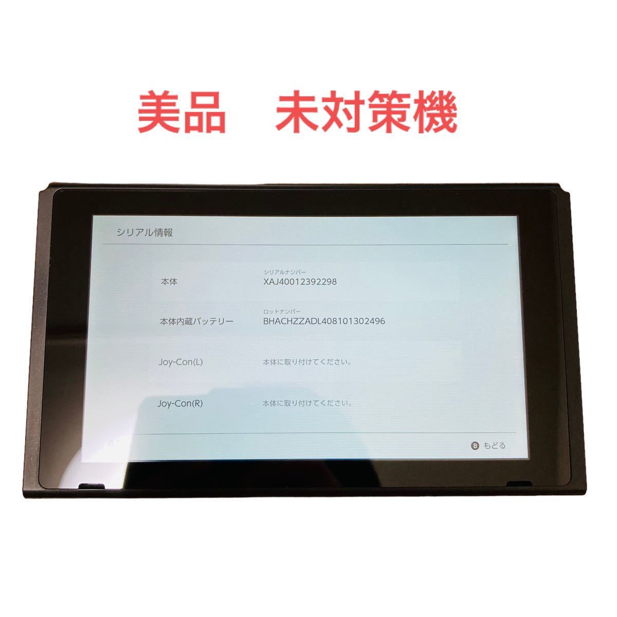 Nintendo Switch 本体 初期型 画面のみ Nintendo Switch 本体 初期型