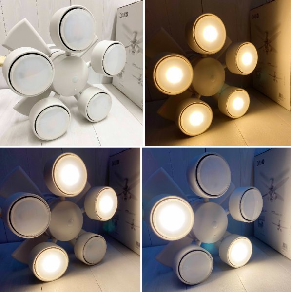 展示品 DAIKO LED シーリングファン ライト 4枚羽 5灯 CSF-580W 2022年