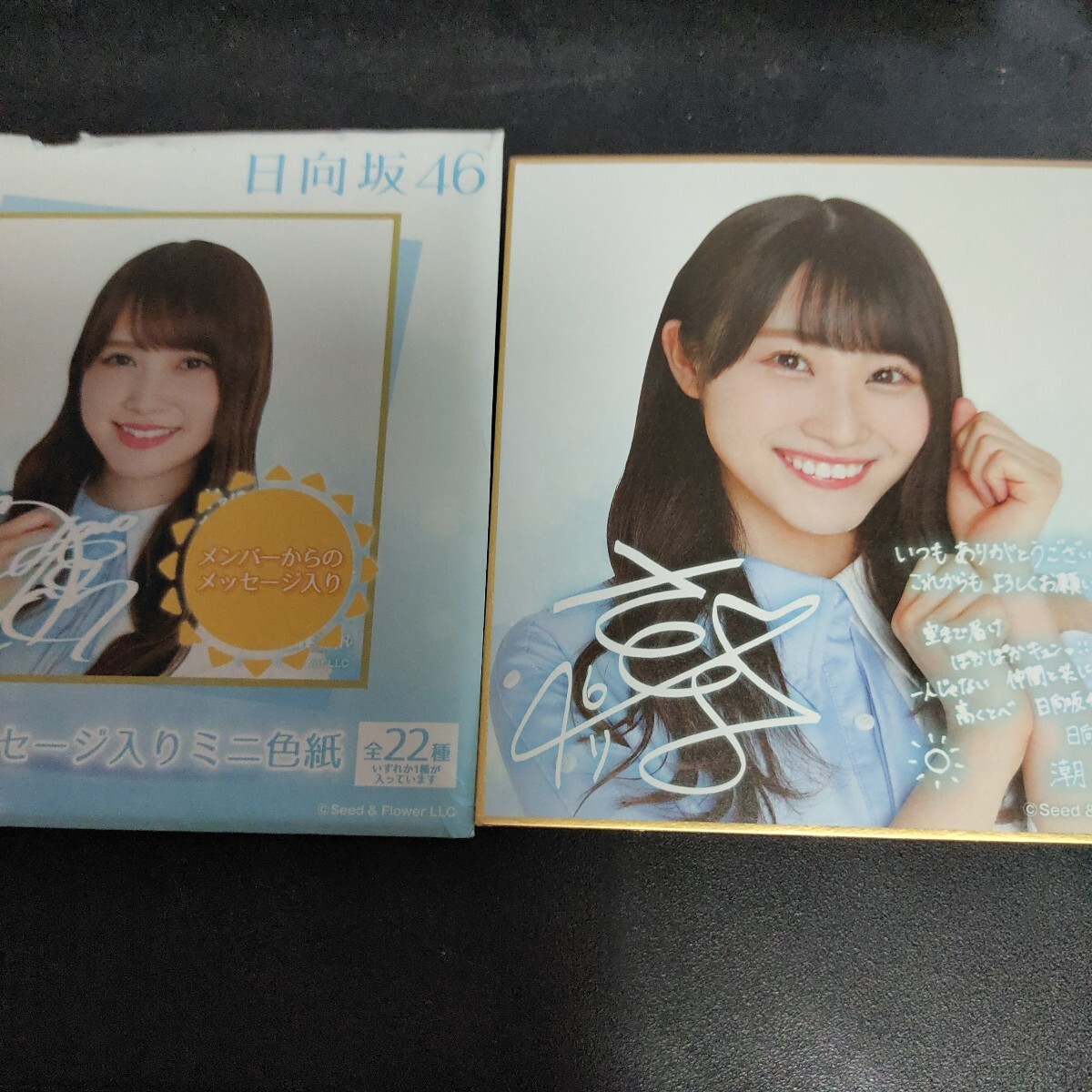 2026年最新】Yahoo!オークション -潮紗理菜 サインの中古品・新品・未