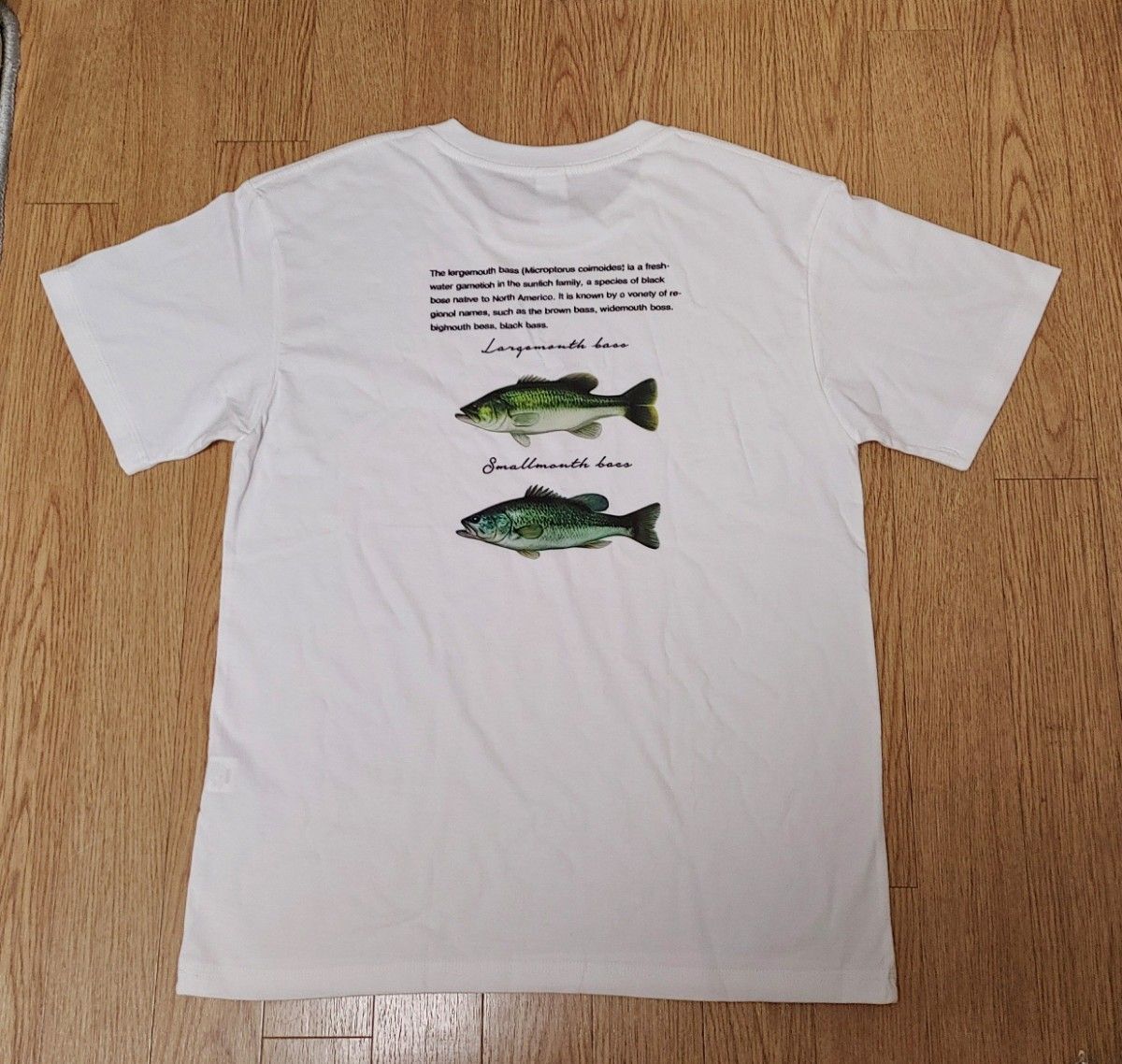 新品）CB ONE ロングTシャツ size M シービーワン ロンT 釣りフェス