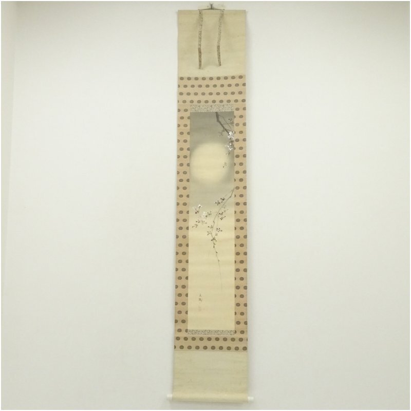 2026年最新】Yahoo!オークション -今井景樹の中古品・新品・未使用品一覧
