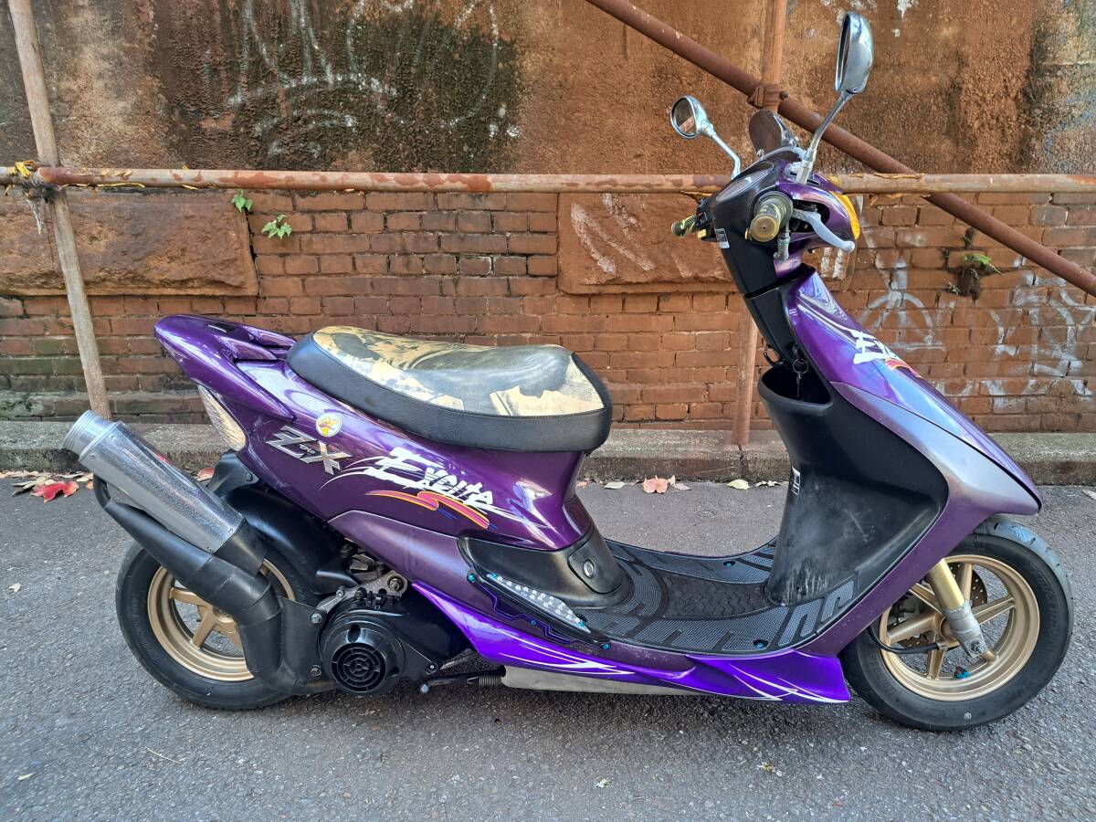 2026年最新】Yahoo!オークション -ディオ 紫紋の中古品・新品・未使用