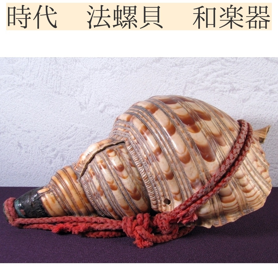 2026年最新】Yahoo!オークション -山伏 法螺貝の中古品・新品・未使用