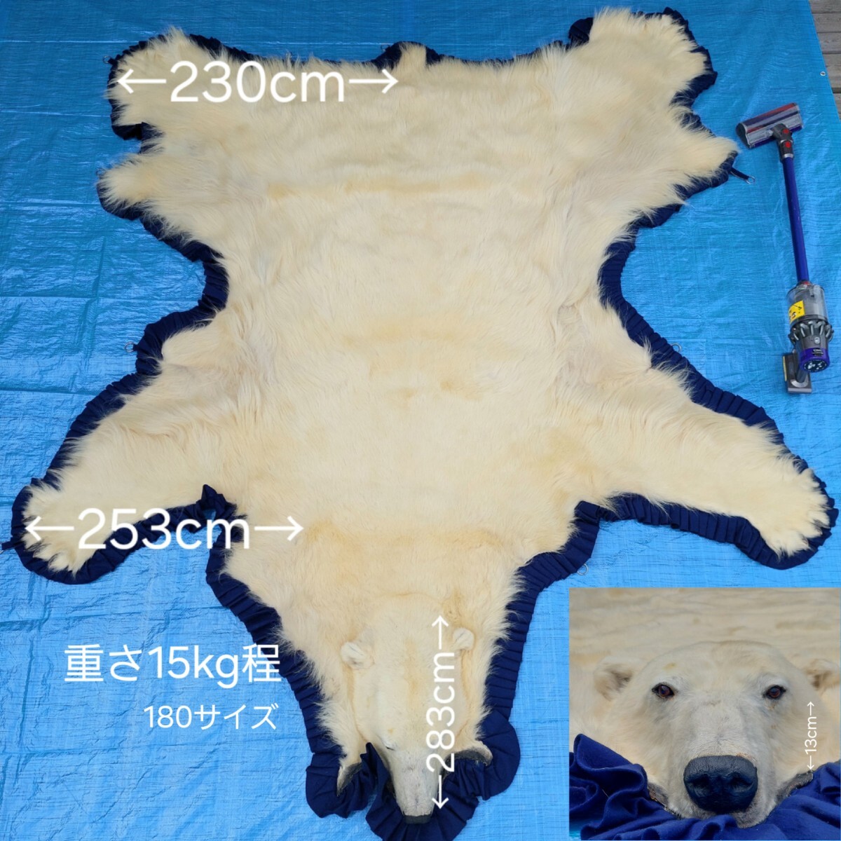 Yahoo!オークション -「白熊 敷物」(アンティーク、コレクション) の