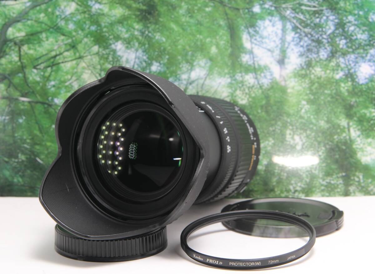 大評判神レンズ SIGMA 17-70mm f2 8-4 5 ニコン用 レンズフィルター