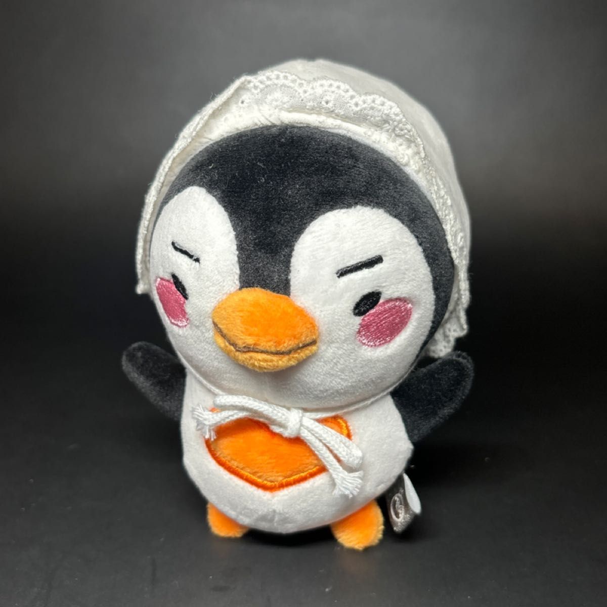 13cm JUNHO ペンペン ぬいぐるみ 2PM ジュノPenPen PLUSH また会える日