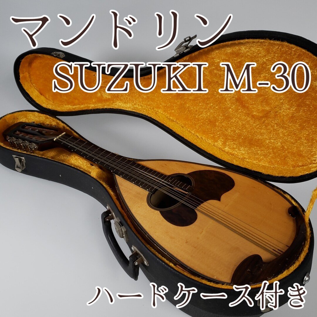 2026年最新】Yahoo!オークション -スズキ マンドリン m-30の中古品