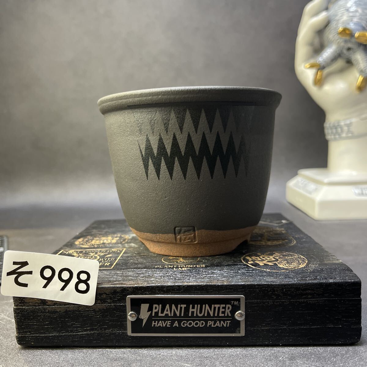 2026年最新】Yahoo!オークション -パキプス 鉢の中古品・新品・未使用