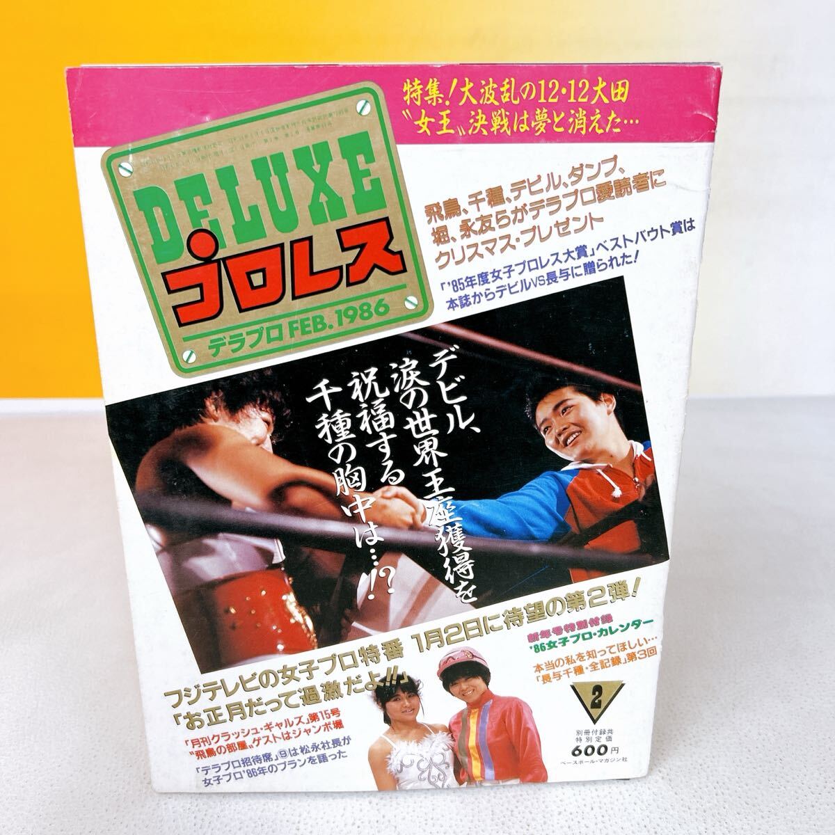 2026年最新】プロレス ポスター - 多彩なデザインと希少なアイテムが