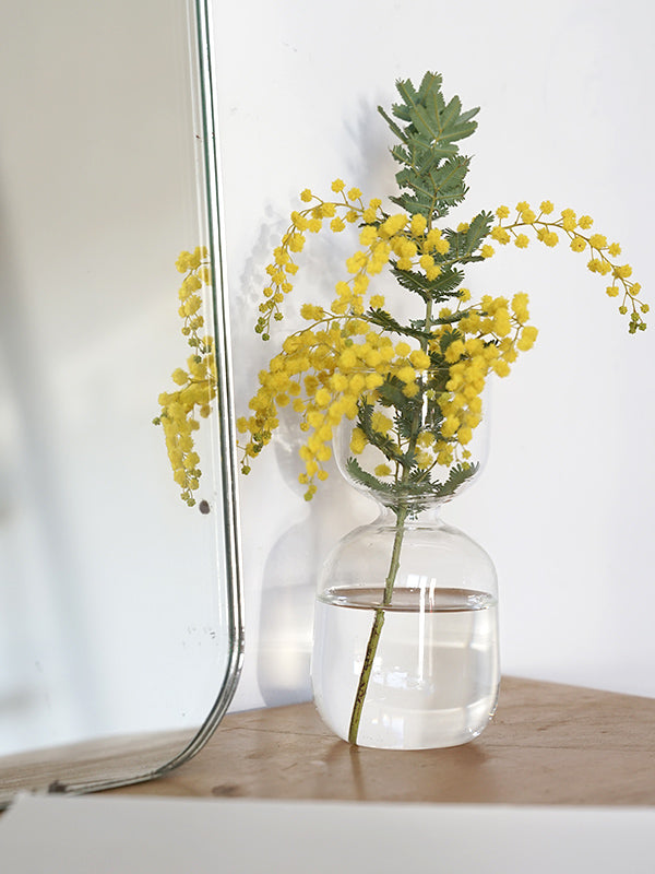 バルブガラスベース | AXCIS ONLINE