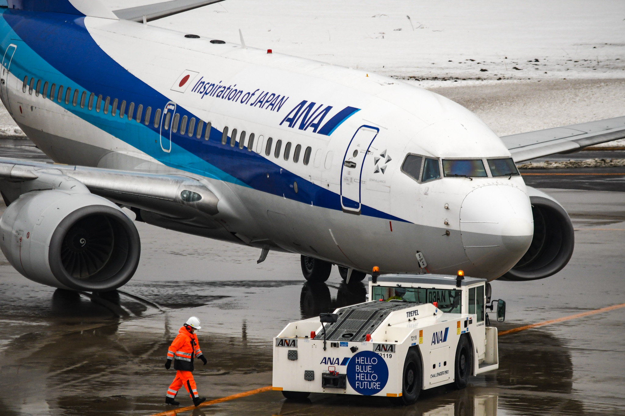 ANA Aviationtag B737-700 レアな薄青と白コンビ ANA Aviationtag B737