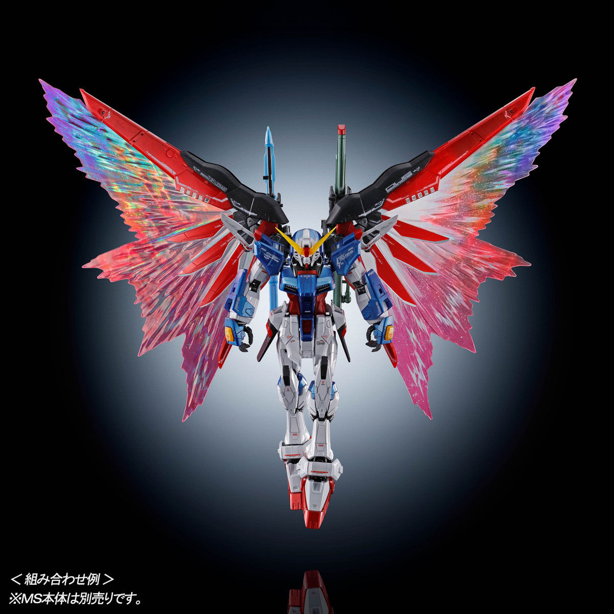 RG 1/144 デスティニーガンダム用 拡張エフェクトユニット“光の翼