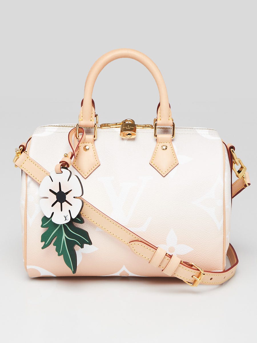 Louis Vuitton Limited Edition Brume Monogram Giant Canvas By The
