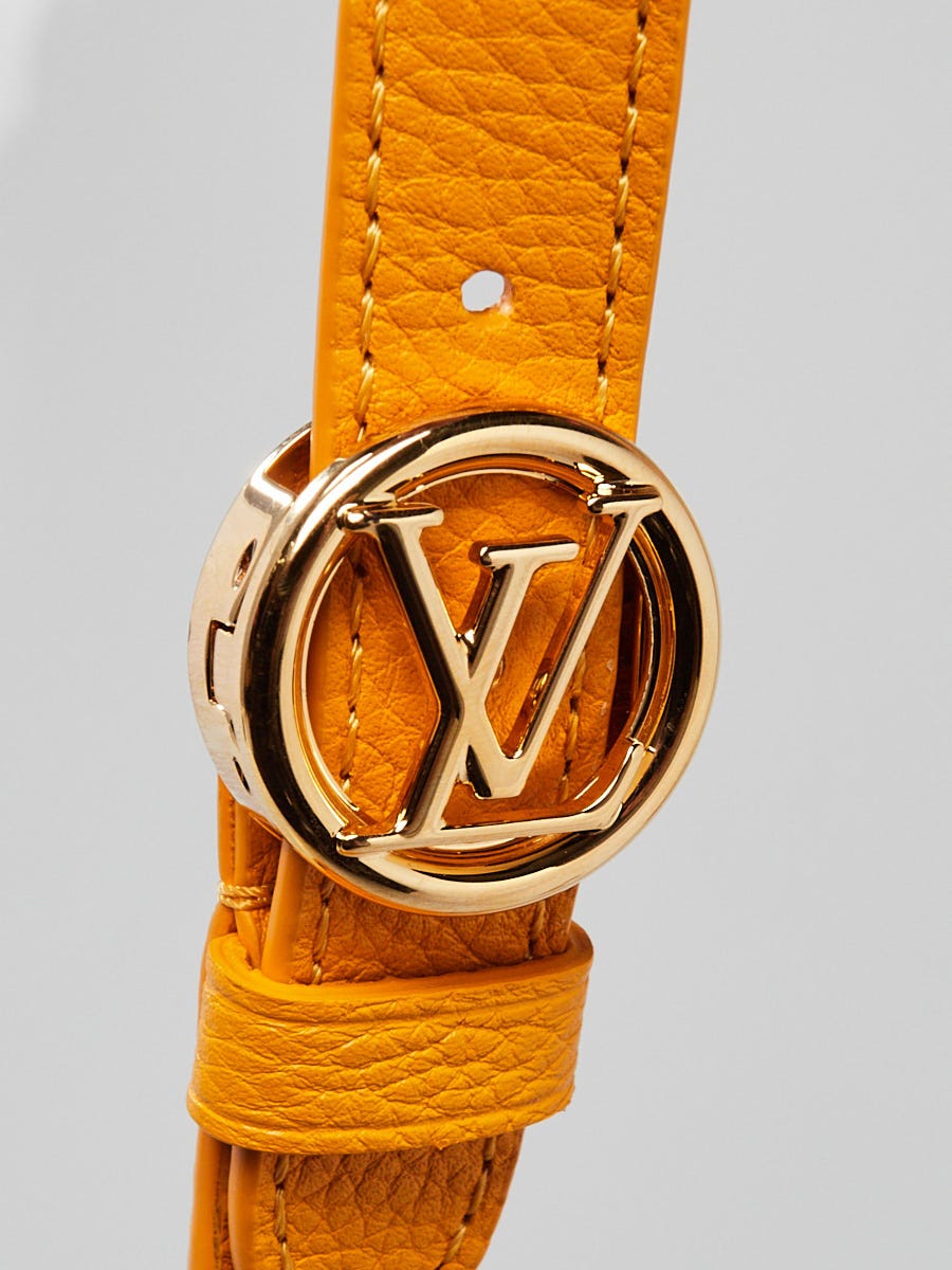 Louis Vuitton Sunbeam Yellow Calfskin Leather LV Pont 9 Soft PM