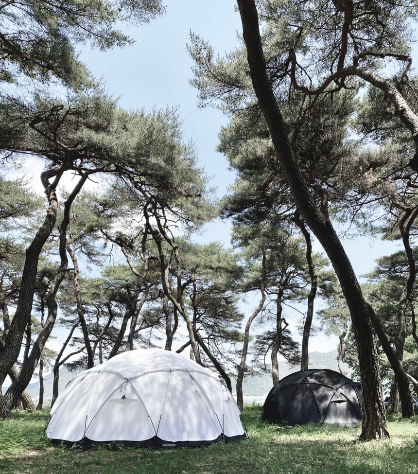 ACORN HOUSE DOME 4.75 BLACK | groundcover